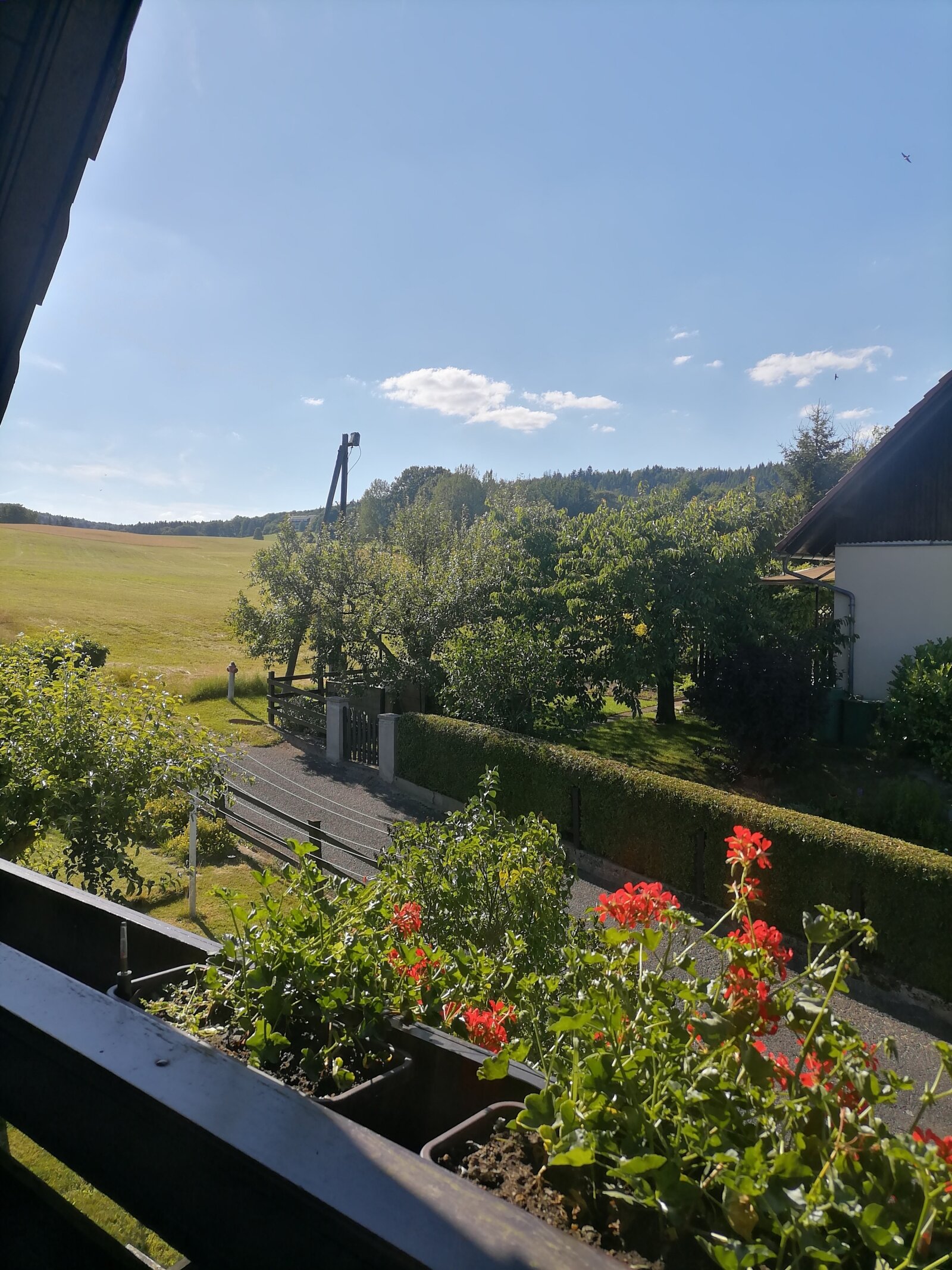 Ausblick aus der Loggia der Ferienwohnung