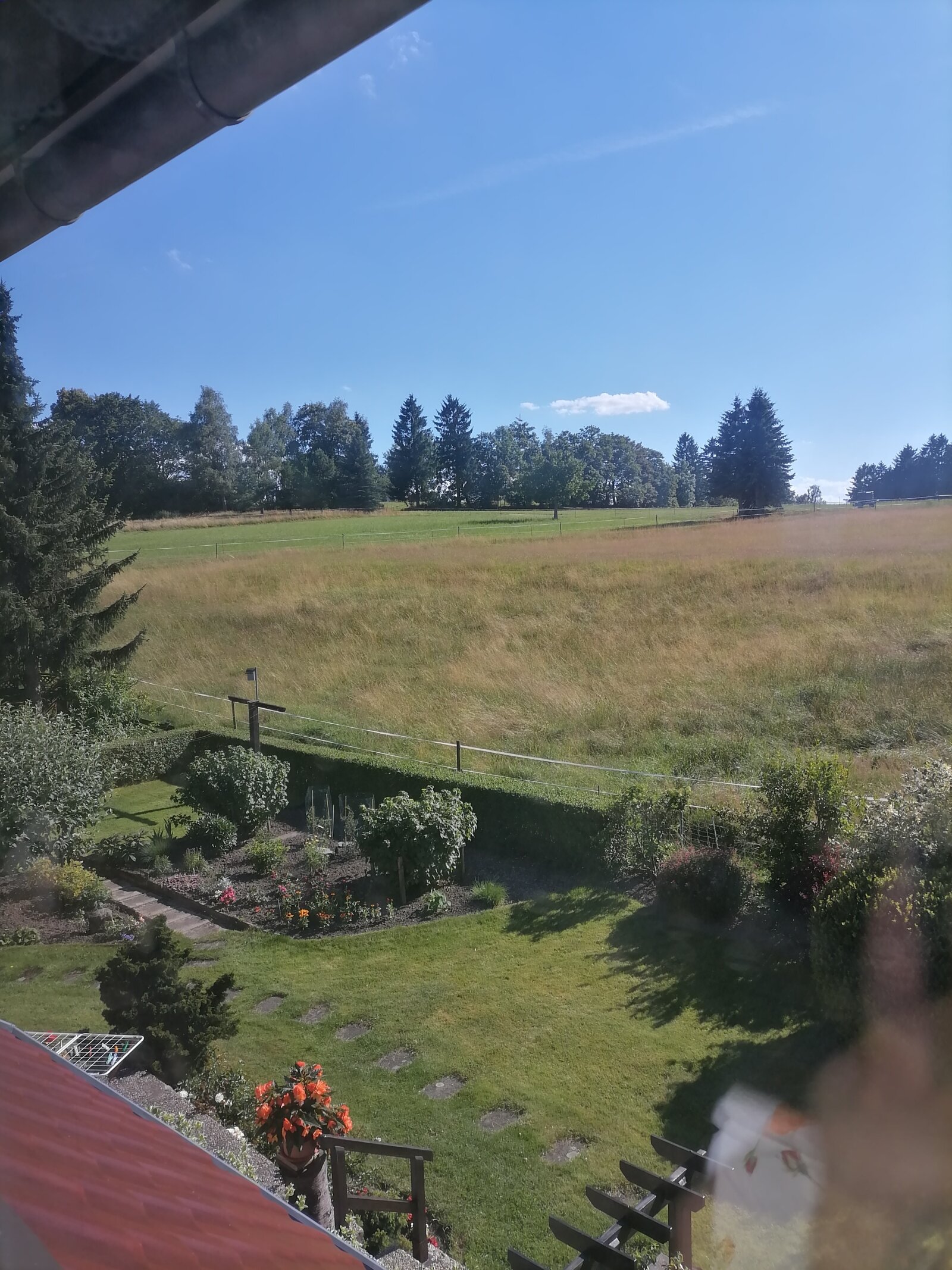 Blick aus der Ferienwohnung in den Garten